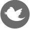 Twitter logo in gray